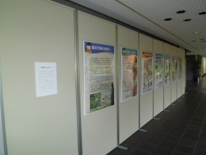 高岡市万葉歴史館移動展示のパネル