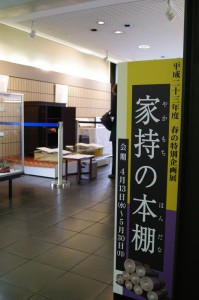 展示入口