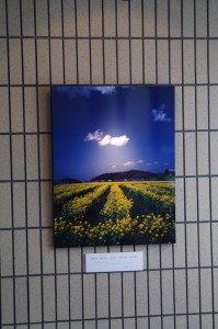 天の香具山