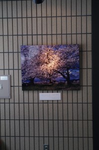 平城京跡