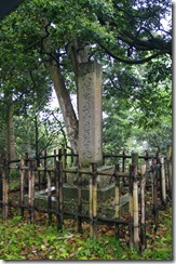 IMGP8062