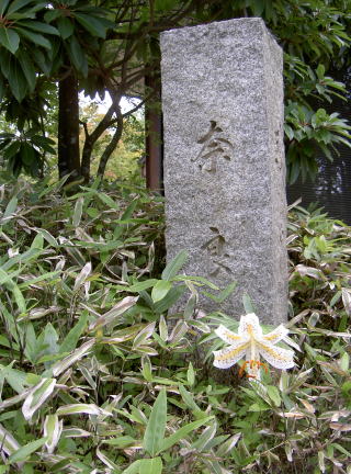 万葉植物　ヤマユリと　奈良・越中の石碑